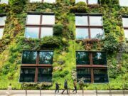 Spread Green And Enhance The Looks With Vertical Gardens Vertical Gardens