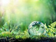 Eco-Friendly Construction Methods to Improve Living Conditions and pave for a Greener World Greener World