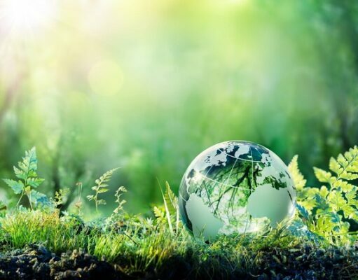 Eco-Friendly Construction Methods to Improve Living Conditions and pave for a Greener World Greener World