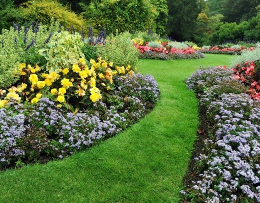 How To Grow the Best Garden Around? Garden
