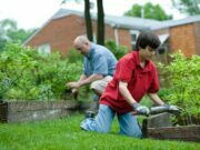 How Pest Control Works Pest Control Works