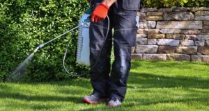 The Power of Sprinklers: Effective Pest Control through Installation and Repair Pest Control