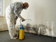Tips To Prevent Mold In Your Home Mold In Your Home