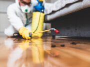 15 Features Expected In A Professional Pest Control Company Pest Control