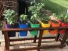 Unlocking The Benefits Of Container Gardening: Why It’s Perfect For Every Space Container Gardening