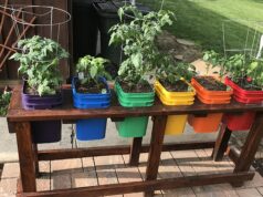 Unlocking The Benefits Of Container Gardening: Why It’s Perfect For Every Space Container Gardening