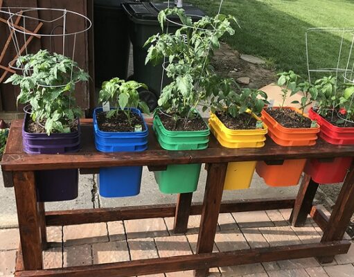 Unlocking The Benefits Of Container Gardening: Why It’s Perfect For Every Space Container Gardening