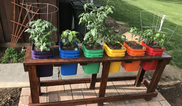 Container Gardening Container Gardening