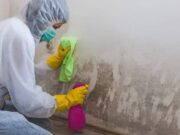 When Every Minute Counts: Contacting The Right Water Remediation Company Water Remediation Company
